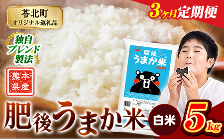 【3ヶ月定期便】肥後うまか米 5kg 白米