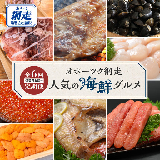 【定期便】オホーツク網走人気の海鮮グルメ 偶数月お届け定期便全6回 ABAO2204