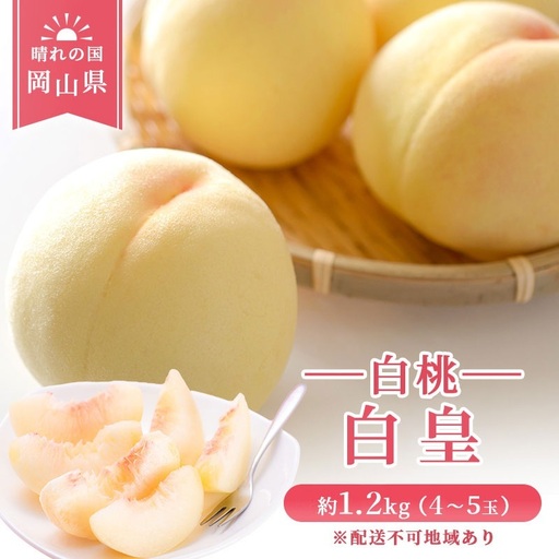 【 2027年 先行予約】 桃 岡山県産 白皇 （ 白桃 ） 約1.2kg （4～5玉）  《2027年8月中旬-下旬頃出荷》 白桃 岡山 はくとう スイーツ フルーツ 果物 先行予約 数量限定 期間限定 里庄町 モモ もも 