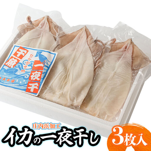 庄内浜加工　イカ一夜干し 3枚　鶴岡魚類株式会社　K-747