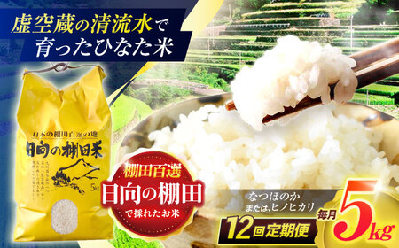 【12回定期便】米 ひなた米5kg[OCM048]