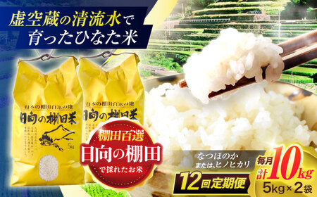 【12回定期便】米 ひなた米 10kg (5kg ×2袋) [OCM056]