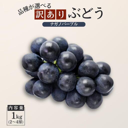 ぶどう ナガノパープル[家庭用] 約1kg /2026年9月上旬〜9月中旬配送予定 // 長野県 南信州 松川町産 種なし 皮ごと 南信州 長野県 オリジナル品種 稀少 人気 自家用