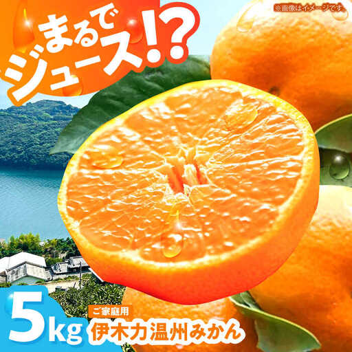 伊木力温州 みかん 5kg AHBD003 みかん