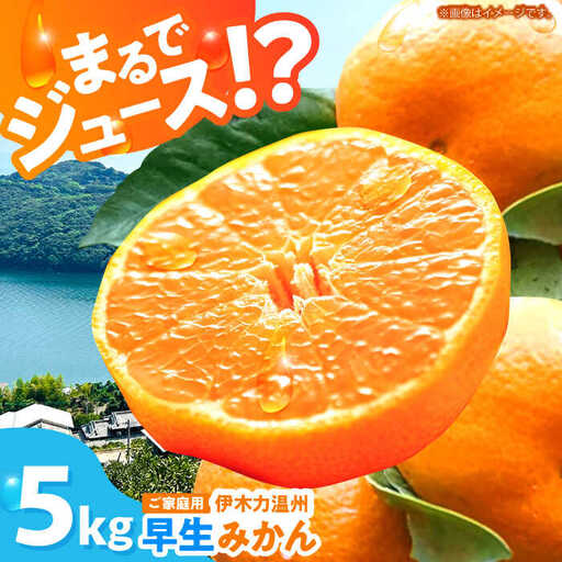 伊木力温州早生 みかん5kg AHBD004 みかん