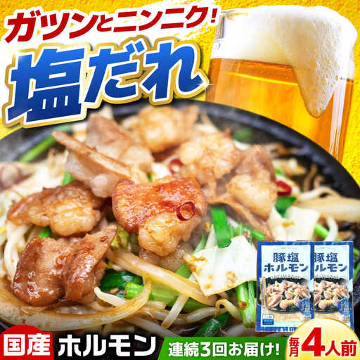 [3回定期便]岐阜県産豚もつの鉄板焼き「元祖みたけとんちゃん」豚塩味(4人前)[AVAA058]豚肉 定期
