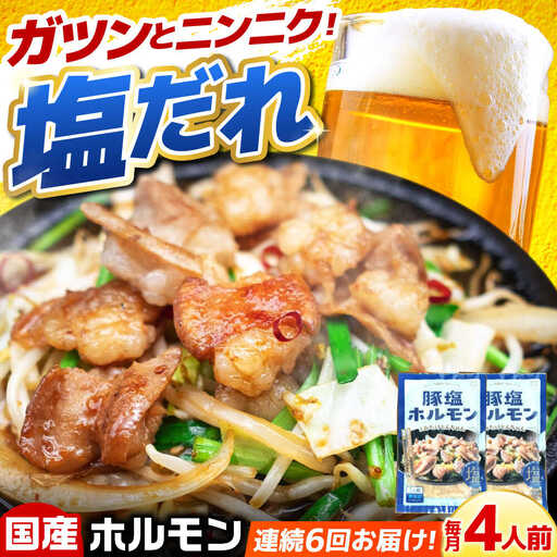 [6回定期便]岐阜県産豚もつの鉄板焼き「元祖みたけとんちゃん」豚塩味(4人前)[AVAA059]豚ホルモン 定期