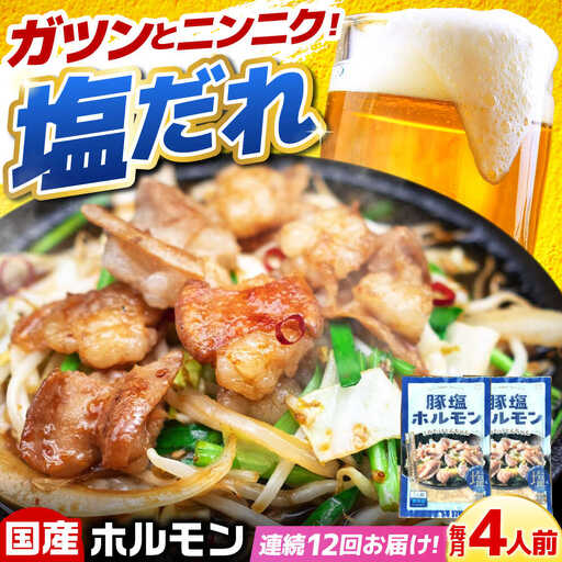 [12回定期便]岐阜県産豚もつの鉄板焼き「元祖みたけとんちゃん」豚塩味(4人前)[AVAA060]豚 定期