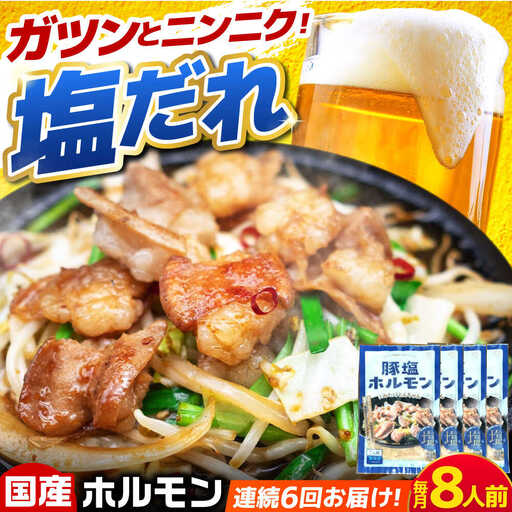 【6回定期便】岐阜県産豚もつの鉄板焼き「元祖みたけとんちゃん」豚塩味（8人前）[AVAA062]豚ホルモン 定期