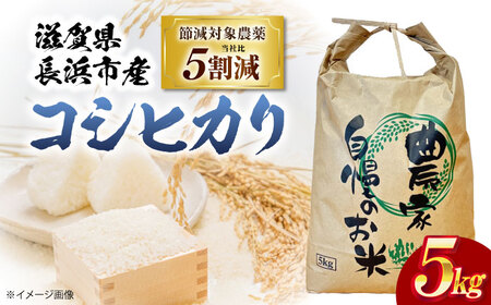 ＼スピード発送／ コシヒカリ 5kg [AQDK001] 白米 こしひかり