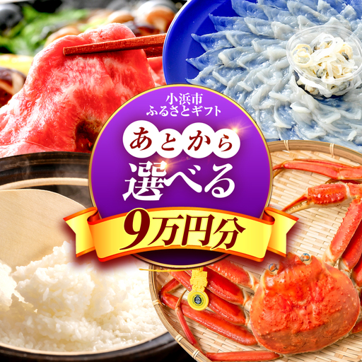 【あとから選べる】 福井県小浜市ふるさとギフト 9万円分 海産物 箸 お米 スイーツ あとから ギフト[BFDV017]
