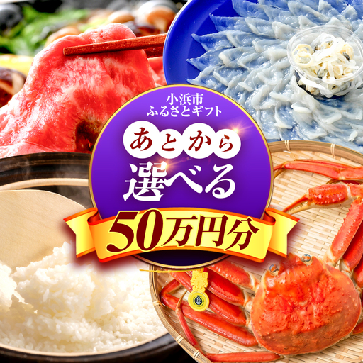 【あとから選べる】 福井県小浜市ふるさとギフト 50万円分 海産物 箸 お米 スイーツ あとから ギフト[BFDV022]