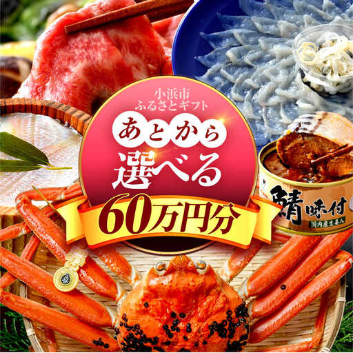 ×【あとから選べる】 福井県小浜市ふるさとギフト 60万円分 海産物 箸 お米 スイーツ あとから ギフト[BFDV023]