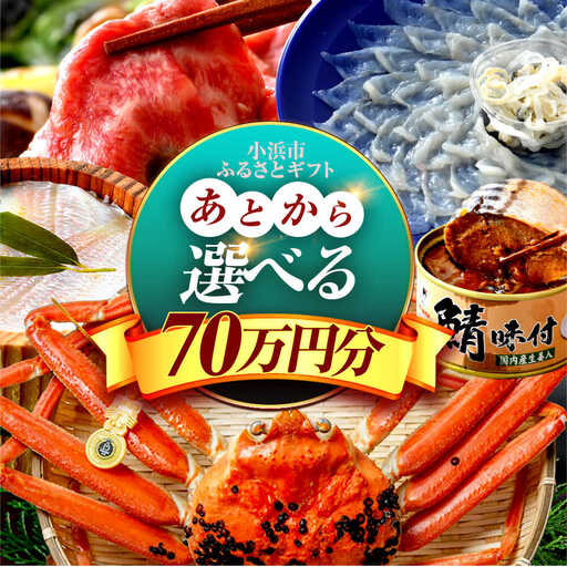 ×【あとから選べる】 福井県小浜市ふるさとギフト 70万円分 海産物 箸 お米 スイーツ あとから ギフト[BFDV024]