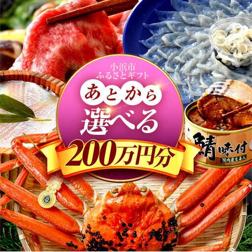 ×【あとから選べる】 福井県小浜市ふるさとギフト 200万円分 海産物 箸 お米 スイーツ あとから ギフト[BFDV028]
