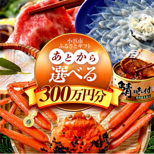 ×【あとから選べる】 福井県小浜市ふるさとギフト 300万円分 海産物 箸 お米 スイーツ あとから ギフト[BFDV029]