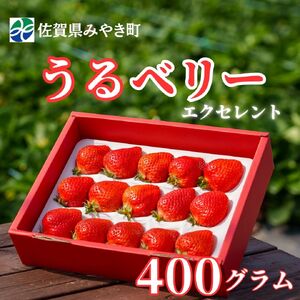 GF003_【2025年11月中旬～2026年4月発送】エクセレント400ｇ