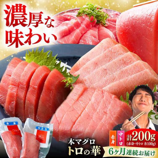 【全6回定期便】対馬産 本マグロ 200g（赤身100g、中トロ100g） ≪対馬市≫【桐谷商店】 トロの華 対馬 新鮮 マグロ 赤身 トロ 鮪 刺身[WAQ061]