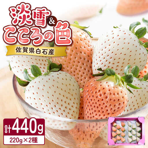 【2027年2月以降順次発送】淡雪・こころの色 白いちごプレミアム 計440g（220g×2パック）/ 岸川農園 [41ASAG007]