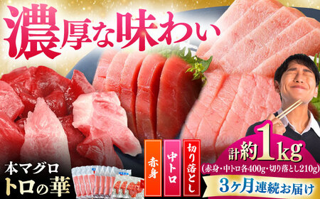 【全3回定期便】対馬産 本マグロ 約1kg（赤身400g、中トロ400g、切り落とし210g） ≪対馬市≫【桐谷商店】 トロの華 対馬 新鮮 マグロ 赤身 トロ 切り落とし 鮪 刺身[WAQ084]
