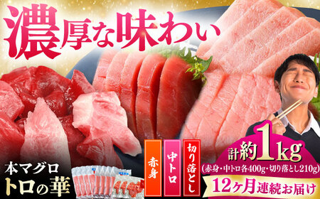 【全12回定期便】対馬産 本マグロ 約1kg（赤身400g、中トロ400g、切り落とし210g） ≪対馬市≫【桐谷商店】 トロの華 対馬 新鮮 マグロ 赤身 トロ 切り落とし 鮪 刺身[WAQ086]