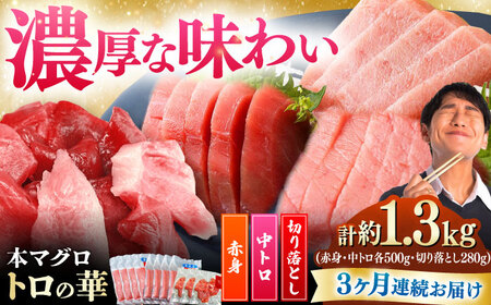 【全3回定期便】対馬産 本マグロ 約1.3kg（赤身500g、中トロ500g、切り落とし280g） ≪対馬市≫【桐谷商店】 トロの華 対馬 新鮮 マグロ 赤身 トロ 切り落とし 鮪 刺身[WAQ088]
