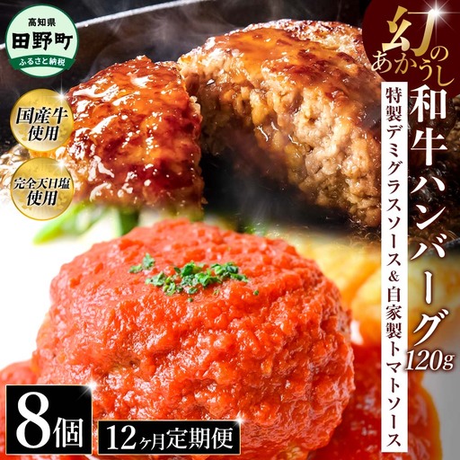 幻のあかうし和牛ハンバーグ 8個入り 12ヶ月定期便 1個120g 特製デミソース トマトソース付き 田野屋青蜂 白鯆 完全天日塩練り込み