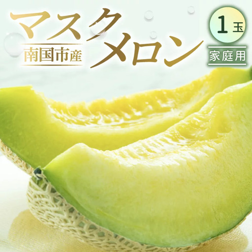 [先行予約]マスクメロン(家庭用) 1玉入 青肉品種 高級メロン! / マスクメロン 果物 フルーツ ギフト 農家直送