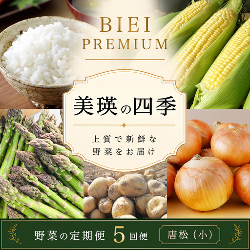 [令和9年産予約受付]野菜セット 5回 定期便 旬な野菜 新鮮 美瑛の四季 唐松(小)