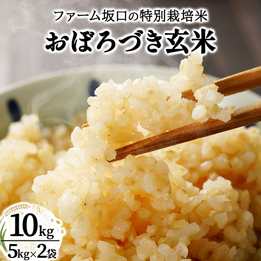 令和8年産!ファーム坂口の特別栽培米 おぼろづき玄米10kg(5kg×2袋)