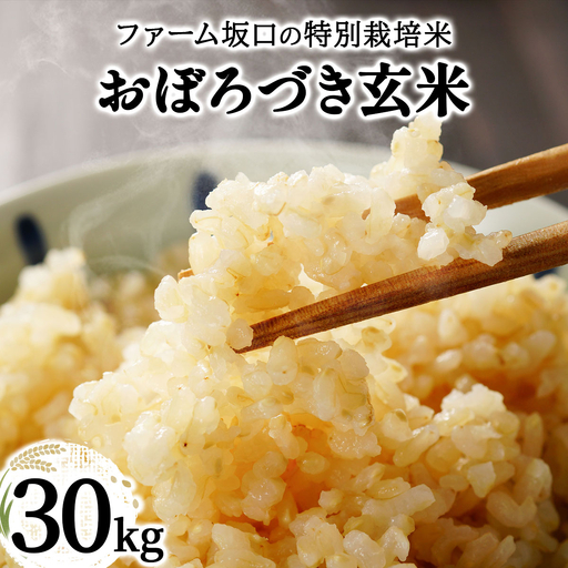 令和8年産!ファーム坂口の特別栽培米 おぼろづき玄米30kg(30kg×1袋)