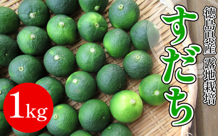[2026年8月下旬発送]すだち 1kg 露地栽培 徳島県産 旬 スダチ 柑橘 酢 ビネガー 焼き魚 果汁 鮭 サーモン さば