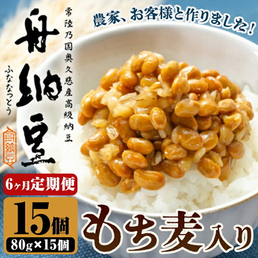 納豆 舟納豆 もち麦入り舟納豆 6回定期便 茨城 大豆 【納豆】【ho1534】