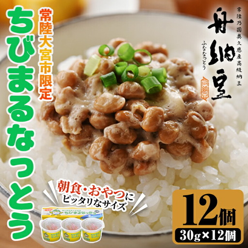 ちびまる納豆12パック 茨城 大豆 高級【納豆】【ho1518】