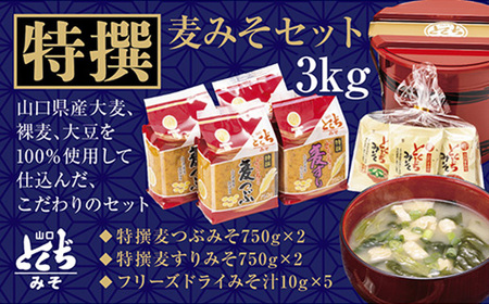 とくぢ味噌特撰詰め合わせ3kg
