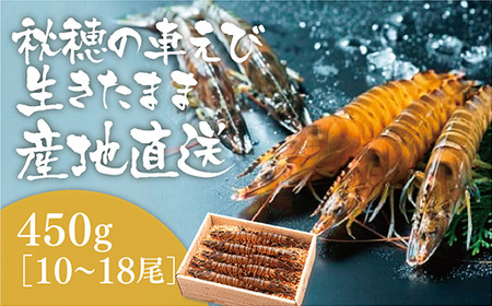 活きあいおえび450g(10〜18尾)