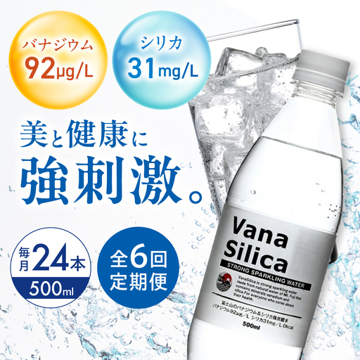 【全6回 定期便】 天然水 × 強炭酸水 24本 AOEH028 炭酸