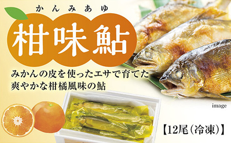 冷凍柑味鮎