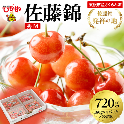 2027年産 さくらんぼ 佐藤錦 720g 秀品 M さくらんぼ