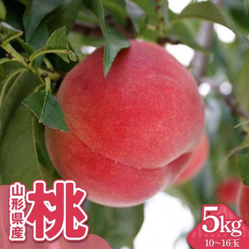 山形県産 白桃 5kg（10～16玉） FSY-2299