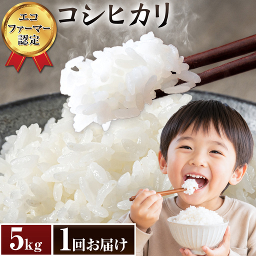 米 令和7年産 コシヒカリ 白米 5kg 新宿営農組合 米