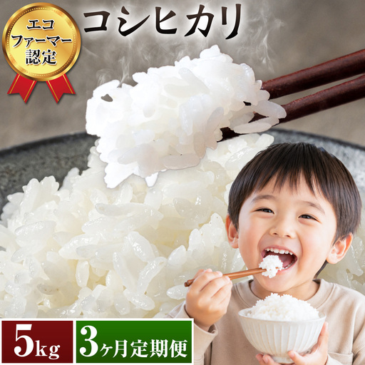 米 コシヒカリ 白米 5kg 3ヶ月 定期便 新宿営農組合 米