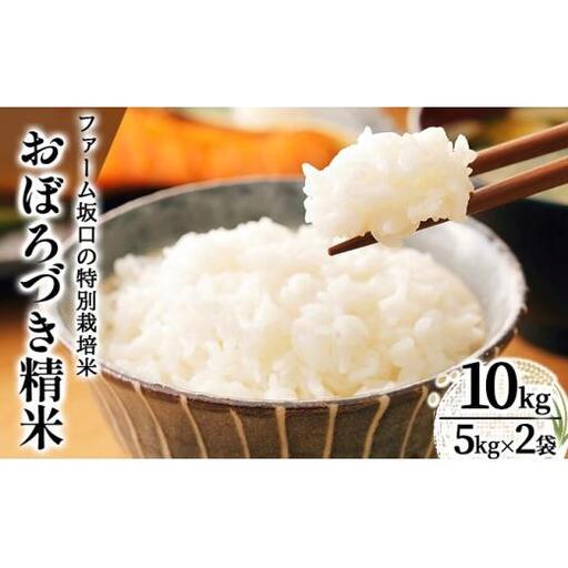 令和7年産!ファーム坂口の特別栽培米 おぼろづき精米 10kg(5kg×2)