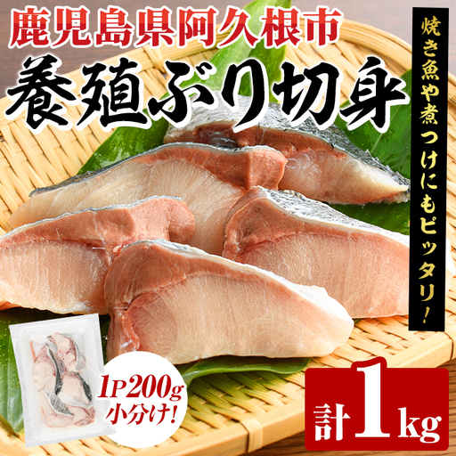 養殖ぶり切身(約1kg) 鹿児島県 阿久根市 ブリ ぶり 鰤 魚貝 魚介 海産物 切身 切り身 煮物 煮つけ 焼き魚 おかず おつまみ 小分け [さるがく水産]akn028-44