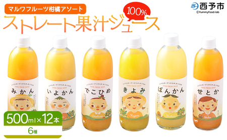 ＜マルワフルーツ柑橘アソート 100％ストレート果汁ジュース 500ml×12本＞ 詰め合わせ セット スイーツ 果物 フルーツ みかん オレンジ 柑橘 清見 でこひめ 河内晩柑 伊予柑 せとか 特産品 愛媛県 西予市【常温】『1か月以内に順次出荷予定』UUB0077
