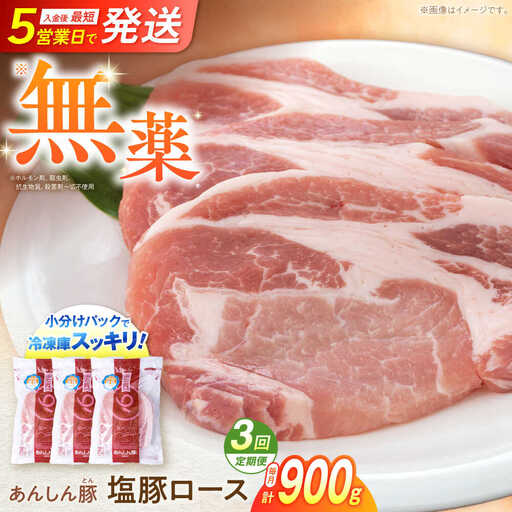 【3回定期便】塩豚ロース 計900g 藤井ファーム[AWAF054]