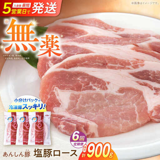 【6回定期便】塩豚ロース 計900g 藤井ファーム[AWAF055]