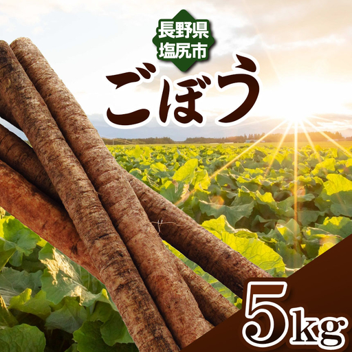 [格別の品質と味!]塩尻市産 ごぼう 約 5kg ≪風味豊かな味わい≫
