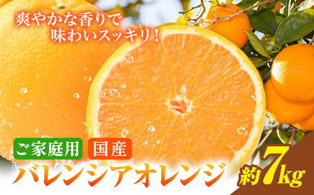 [ご家庭用訳あり]希少な国産 バレンシアオレンジ 約7kg