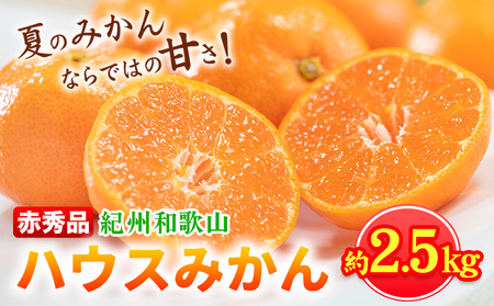 みかん 赤秀品 ハウスみかん 約2.5kg